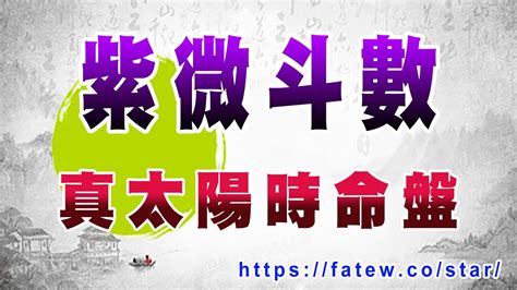 紫微斗數 免費|紫微斗數排盤程式